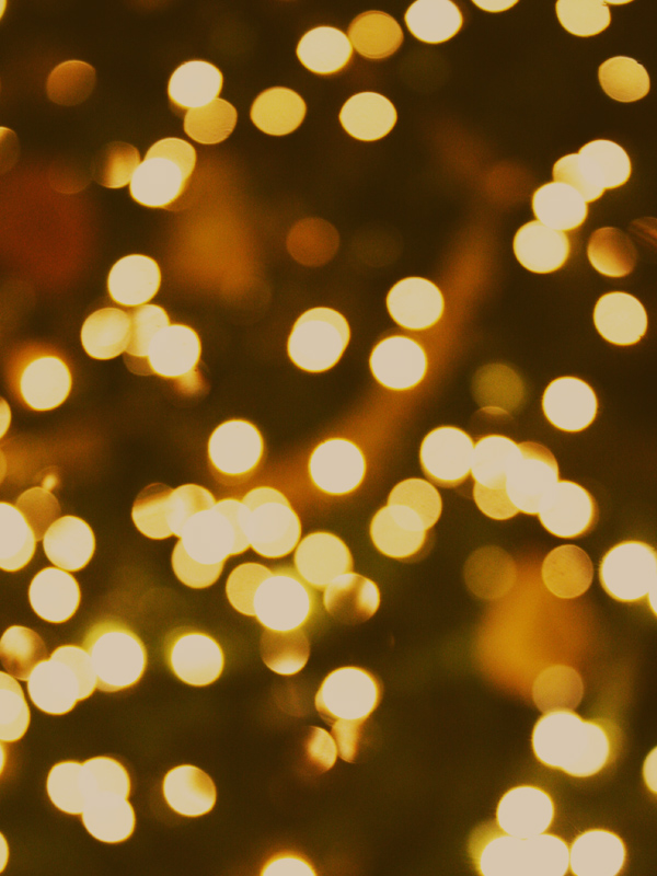 lights twinkle 28 images dammit steve like nailing lights twinkle 28 images dammit steve like nailing